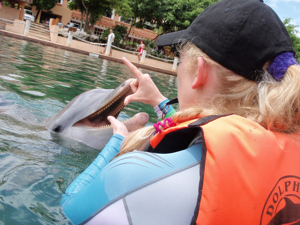 dolphin trainer academy puerto aventuras cielo and friend… ABC