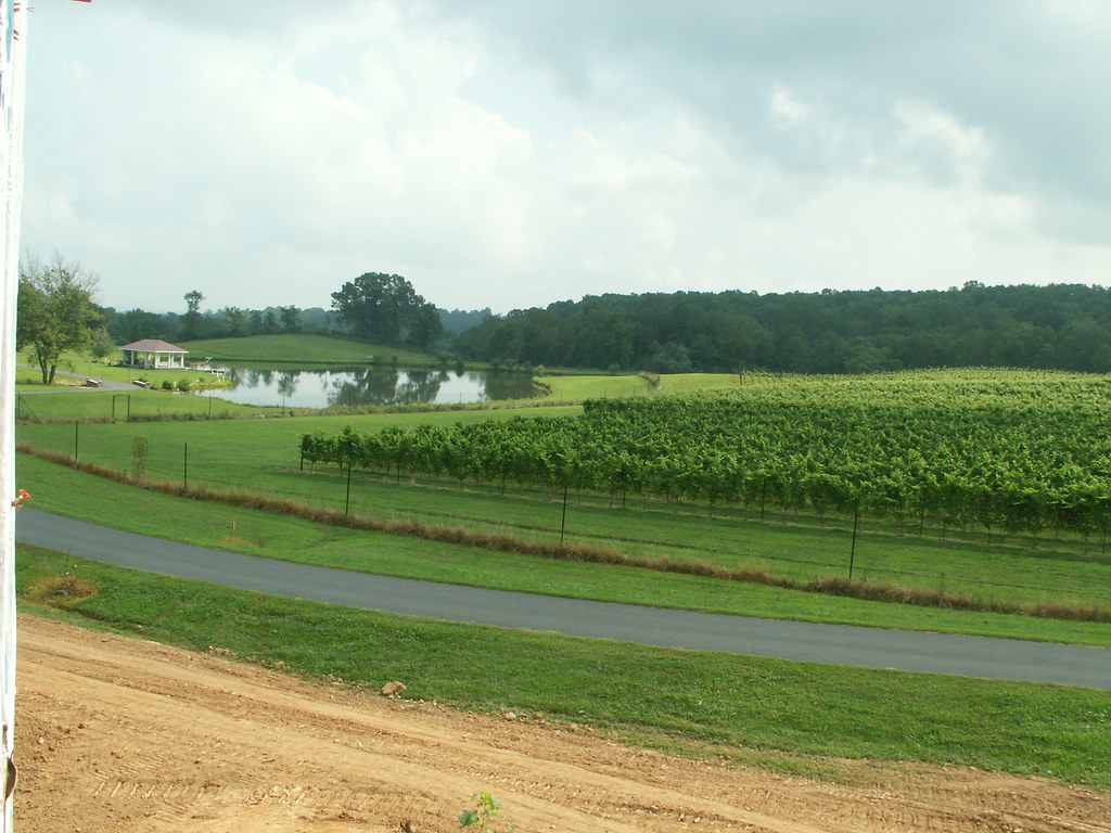 PICT0546 Piedmont Virginian Flickr