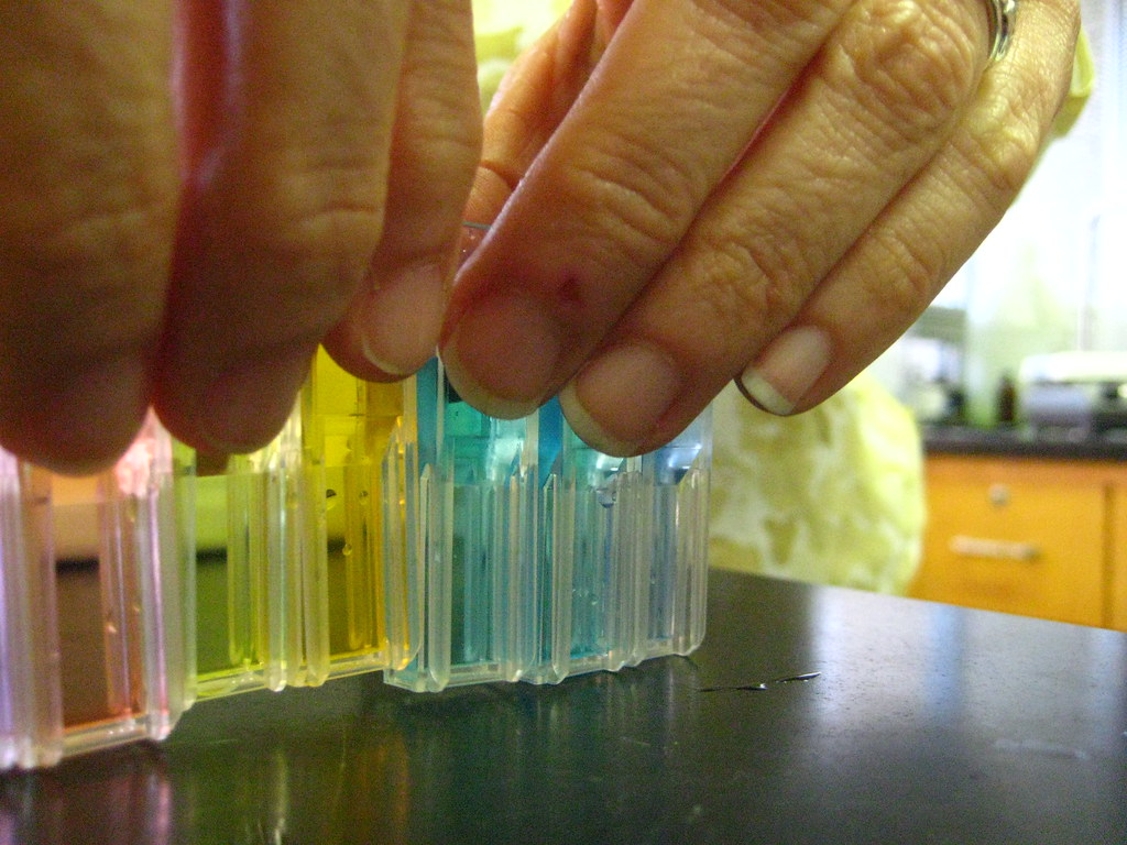 Spectrophotometry Lab Set Up .K.Snod. Flickr