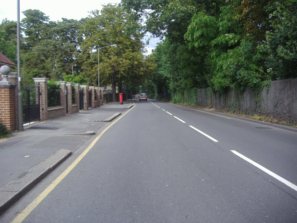 Priory Lane Home of the famous Priory Clinic on the left. David