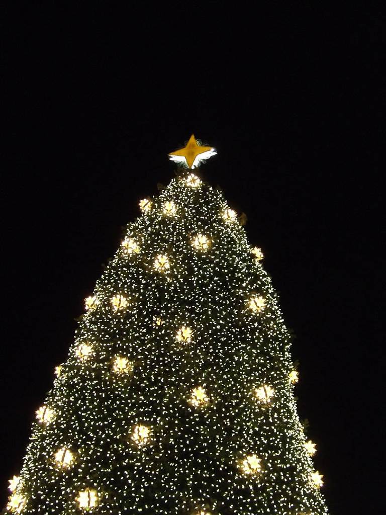 national christmas tree washington, dc yakfur Flickr