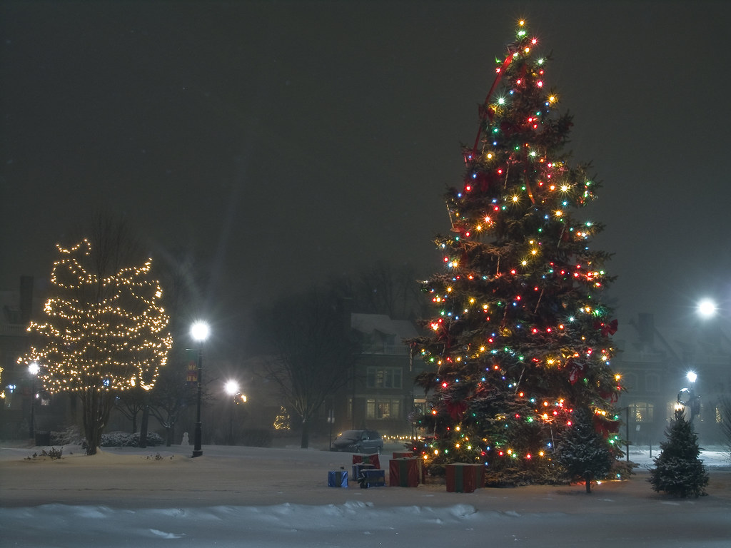 Christmas Tree Downtown Palatine IL 2008 Michael Zale Flickr