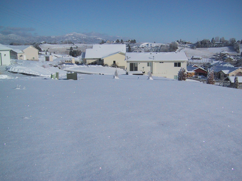 Snow in Moscow Idaho 2008 centinel Flickr