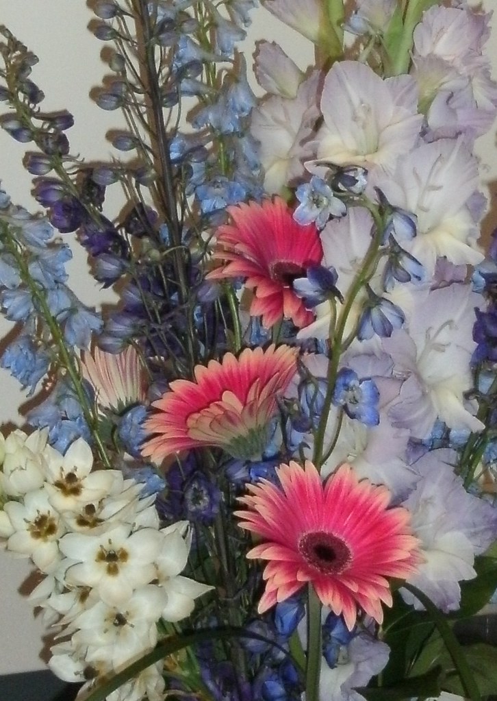 beautiful flowers flowers that students bought for one of … Flickr