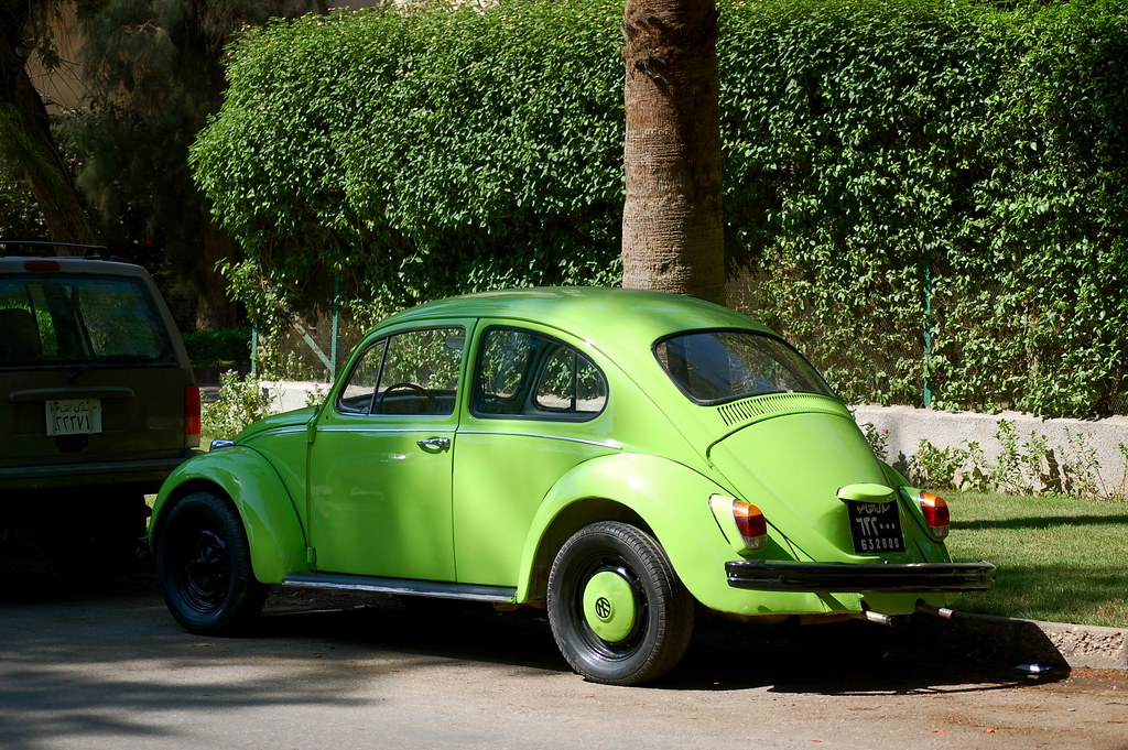 Lime Green Beetle vagabondblogger Flickr
