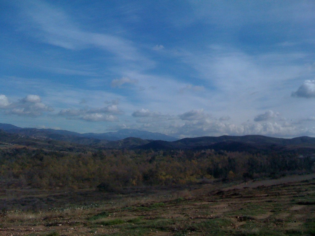 Orange Park Acres, Dec 23, 2008 Uploaded with AirMe jarettstein