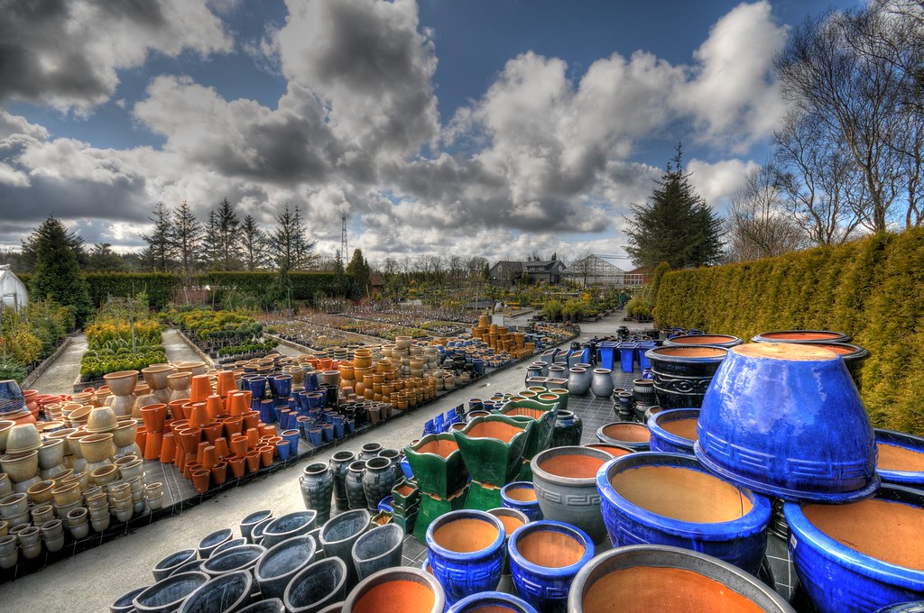 Hove garden center Rate my photo 1 2 3 4 5 6 7 8 9 10 Per Erik