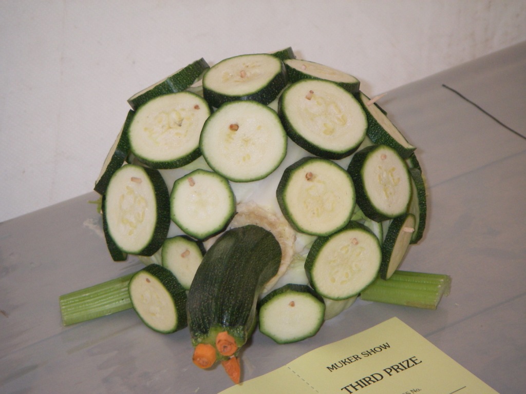 Courgette tortoise Sarah Flickr