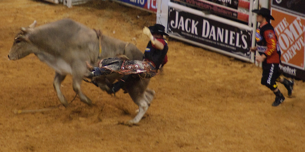 A Rodeo in WinstonSalem bull riding" happens… Flickr
