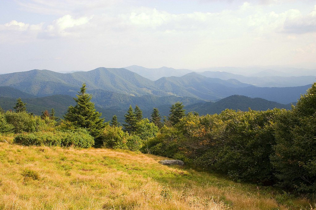 Roan Mountain Grassy Highlands Trek (Day 8) Another view a… Flickr