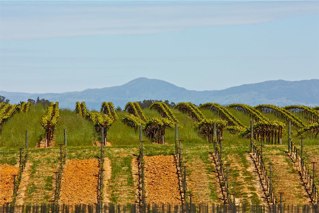 Paul Hobbs Winery 06 Graton, California smilla4 Flickr