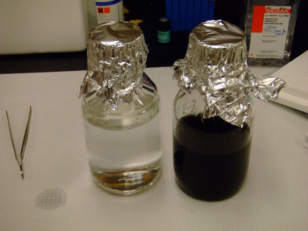 Media and water Water and media autoclaved and cooling! Xmpraedicta