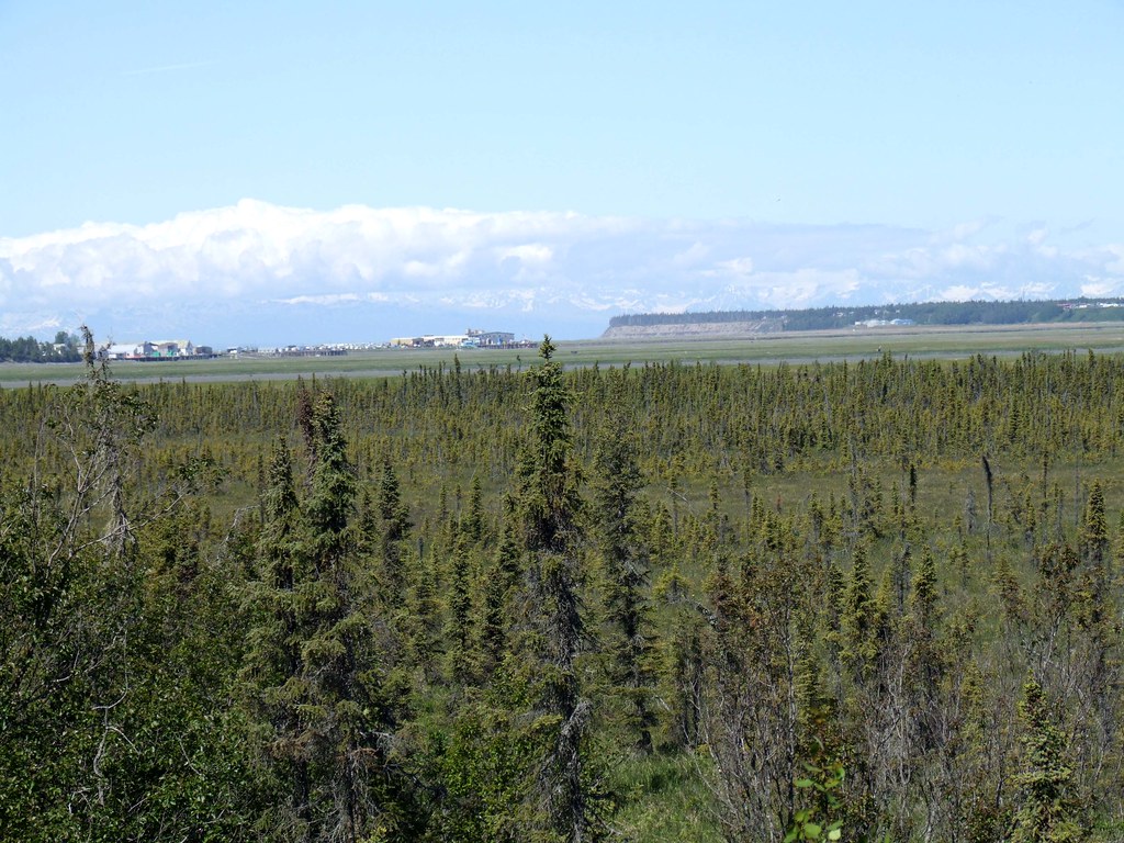 Kenai Flats Just a walk across the road from the site give… Flickr