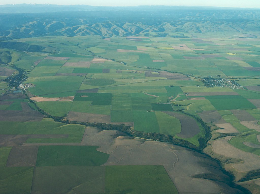 Weston and Athena, Oregon Sam Beebe Flickr