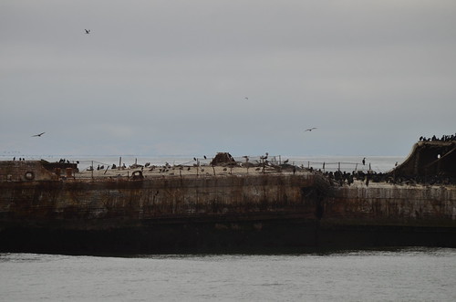 Seacliff State Beach Part of 2011 Seacliff State Beach Vac… Spider Wayne Flickr
