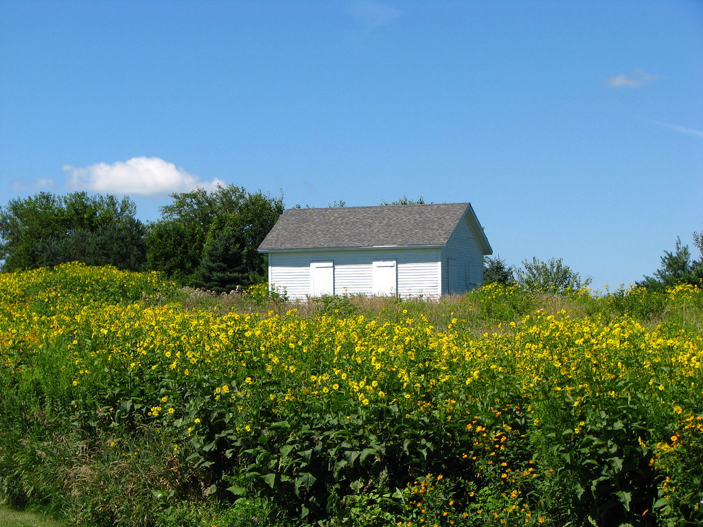 Pierce Town Hall Restored, dating from the early 1900s. geognerd