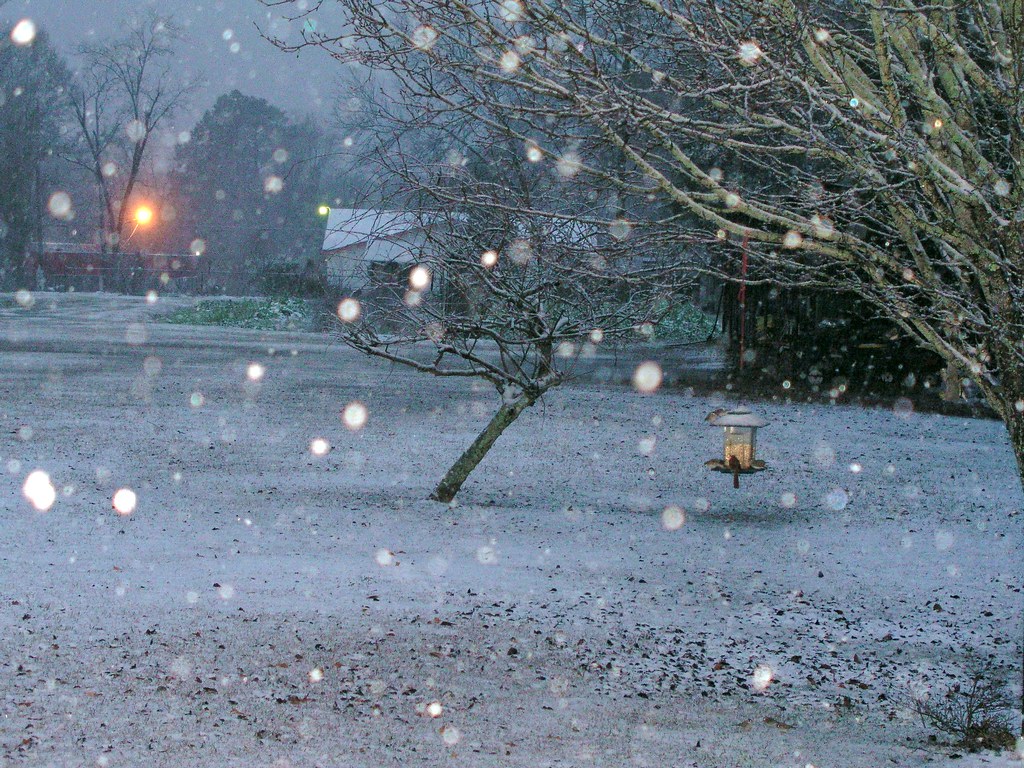 MS snowfall Rare south MS snowfall 2008 gyrine34 Flickr