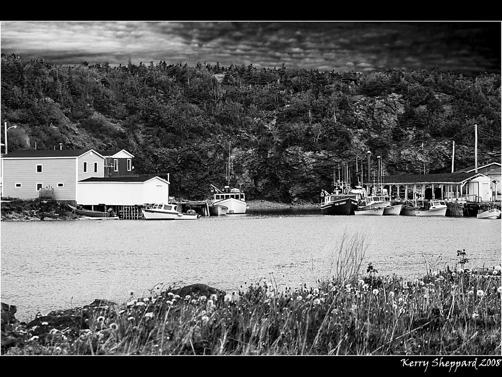 trout river boats B&W_0673 Kerry Sheppard Flickr