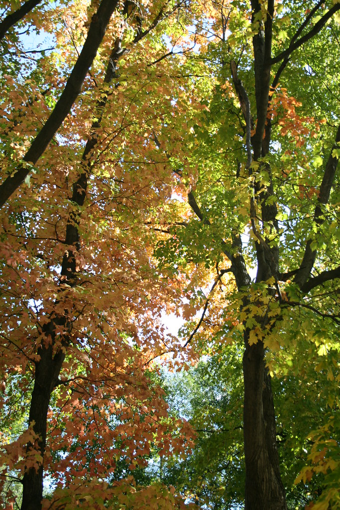 IMG_2395 Amy DeYoung Flickr