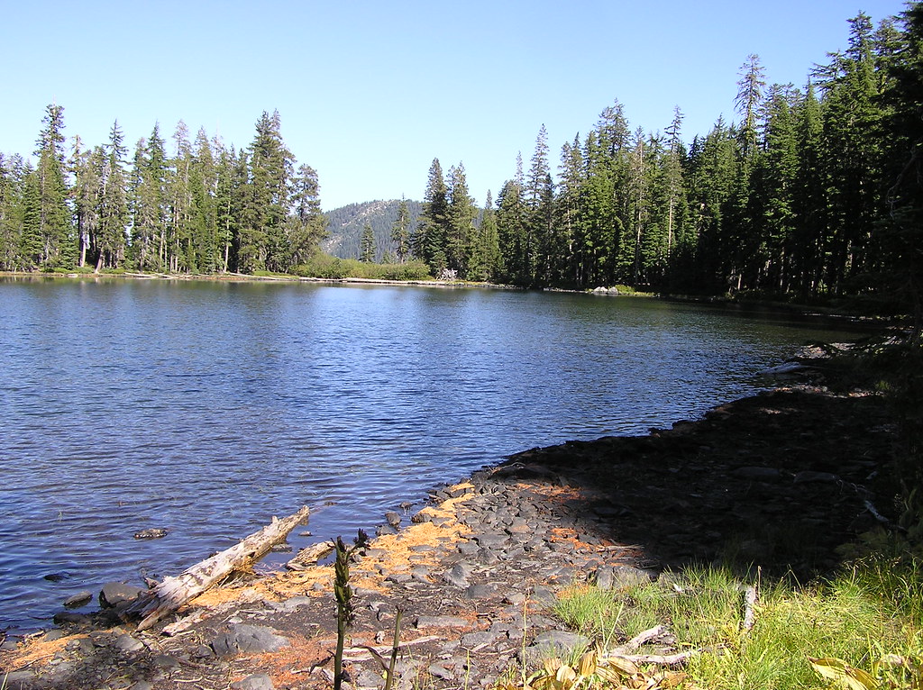 P1010029 Fox Creek Lake 76chevytruck Flickr