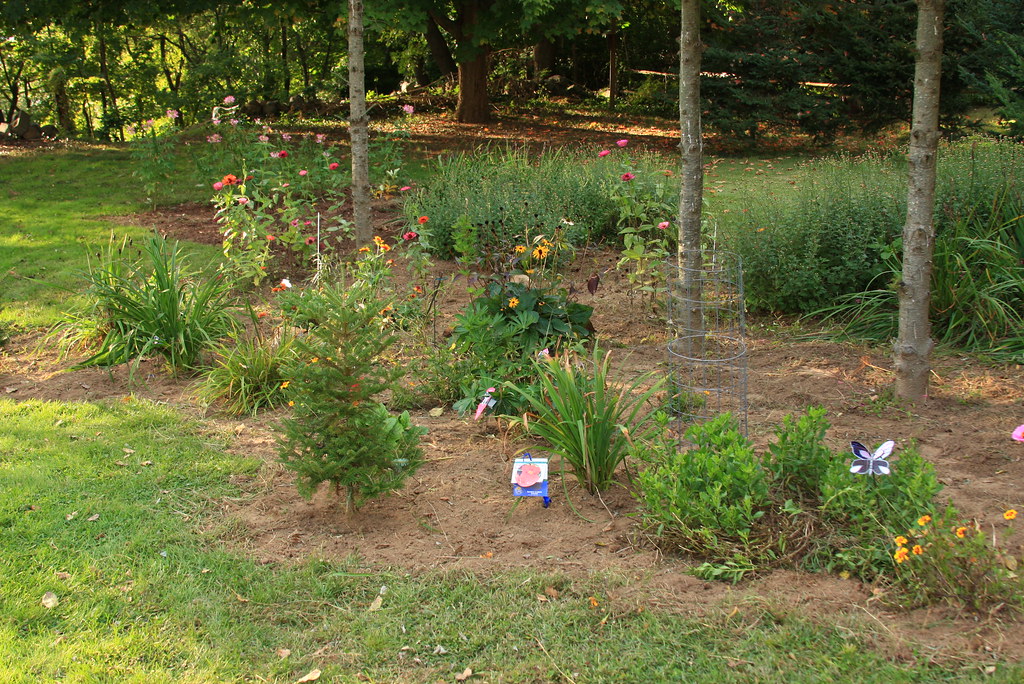 IMG_7885 Weeded the garden I spent some hours removing wee… Flickr
