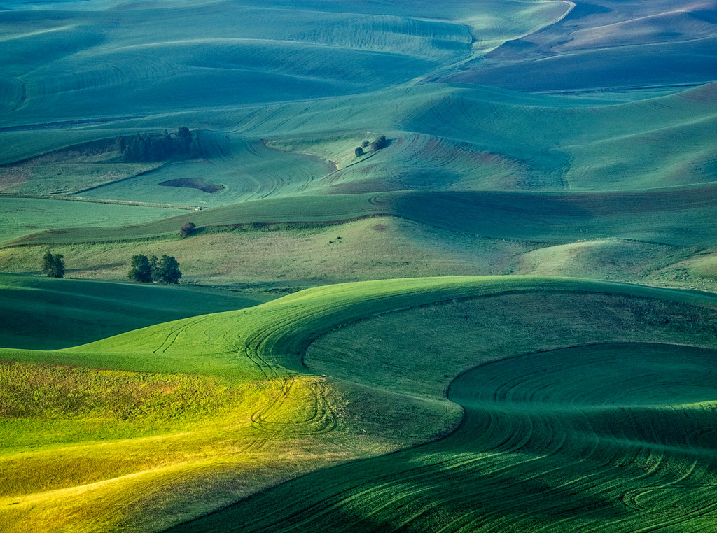 Elevation of Garfield, WA, USA Topographic Map Altitude Map