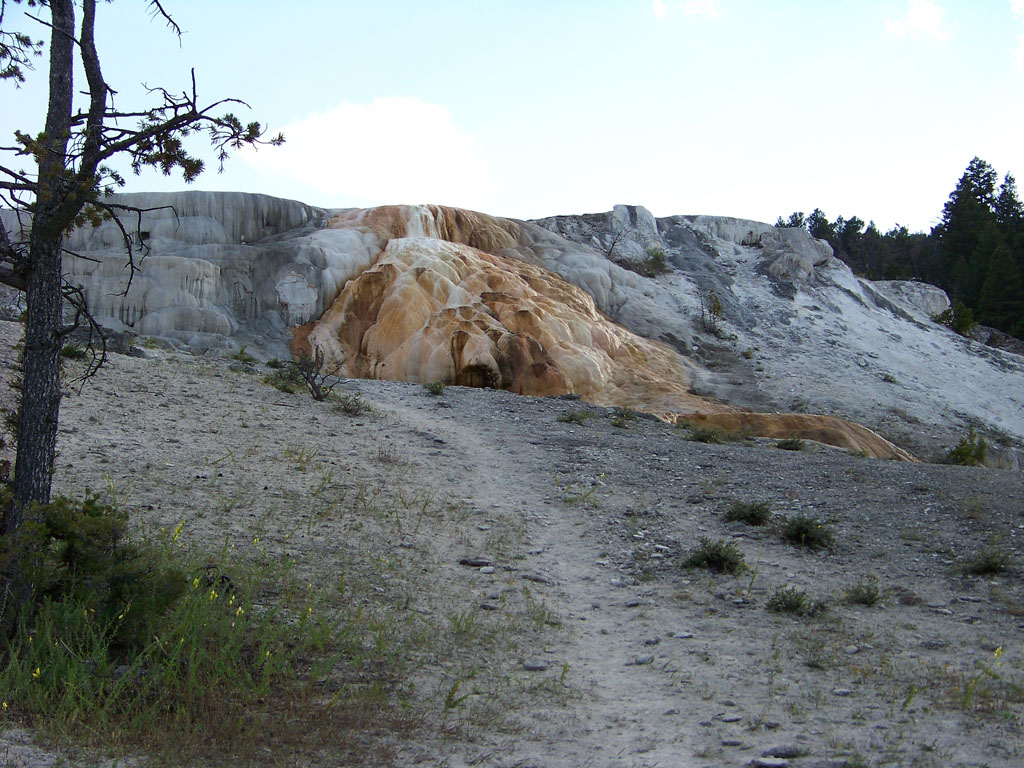 Cleopatra Terrace Mammoth Hot Springs Yellowstone Flickr