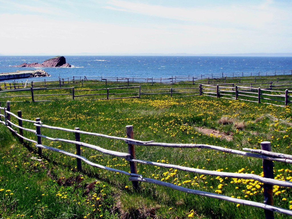 Heart's Delight, NL Lucia Flickr