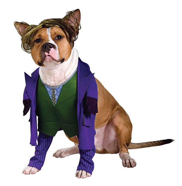 the joker dog costume Batman's Nemesis, the joker costume … Flickr