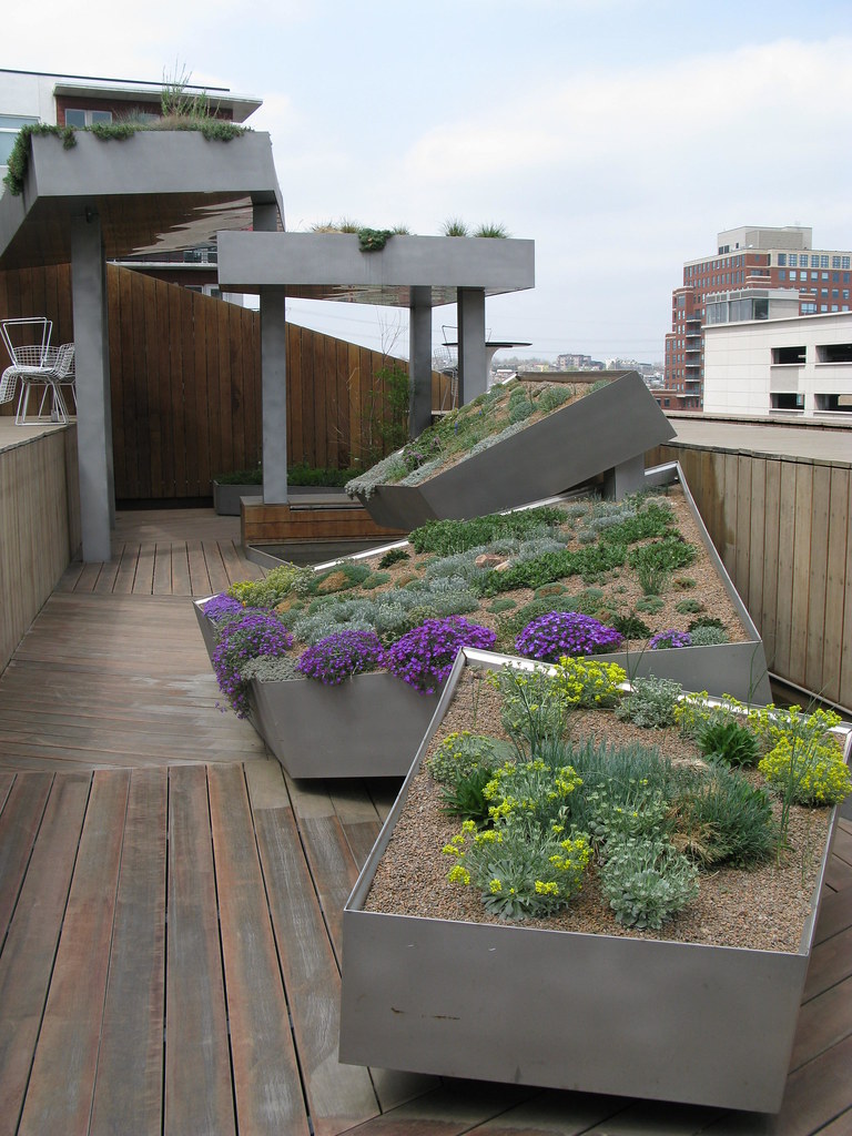 Roof garden at Denver Contemporary Art Museum a photo on Flickriver