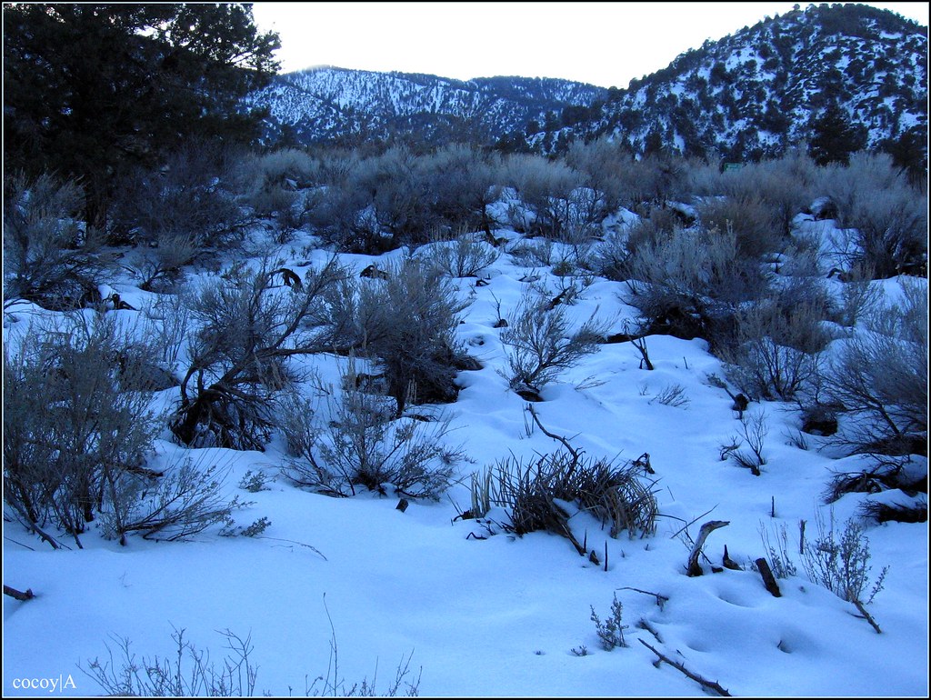 Wrightwood, California Angeles National Forest in San Bern… Flickr