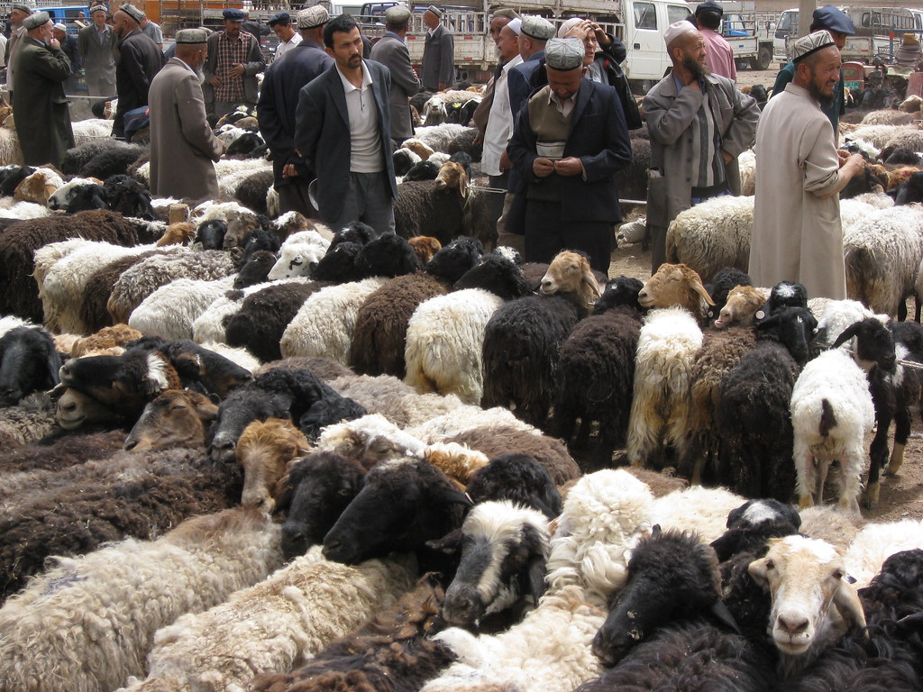 Kashgar The Sunday livestock market. The deserts and mount… Flickr