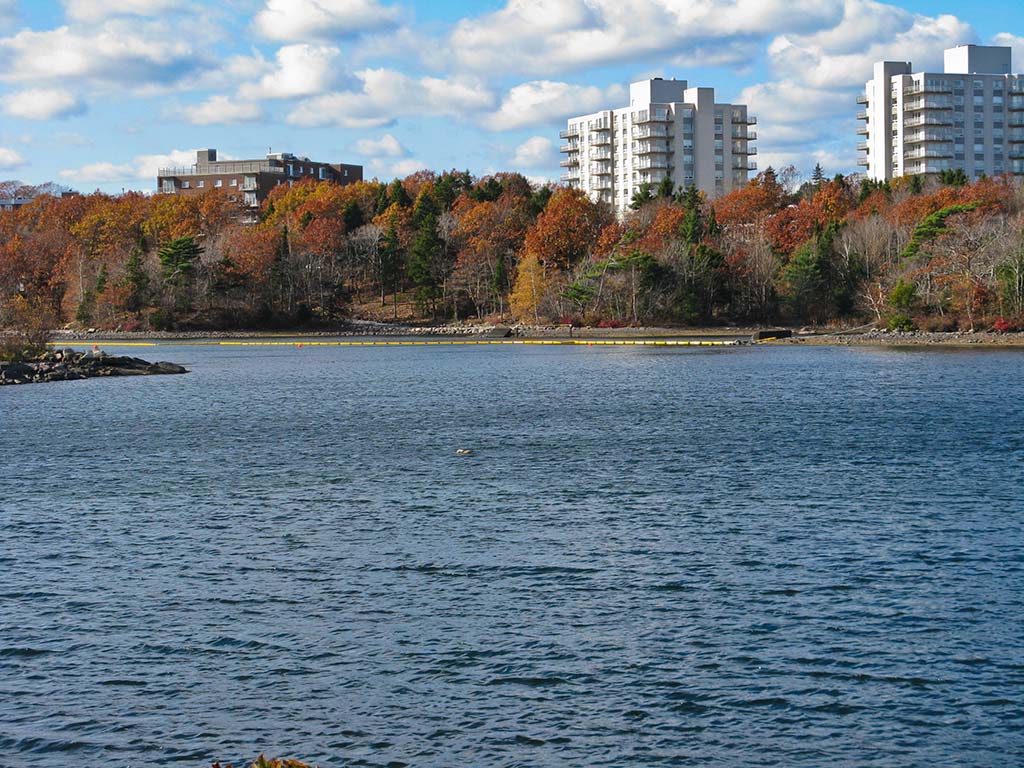 naIMG_1375 Lake Banook Marlies Flickr