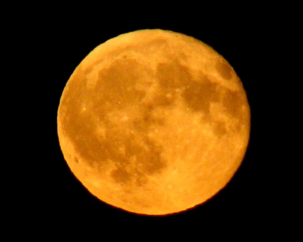 Full moon rising The moon looked more orange tonight