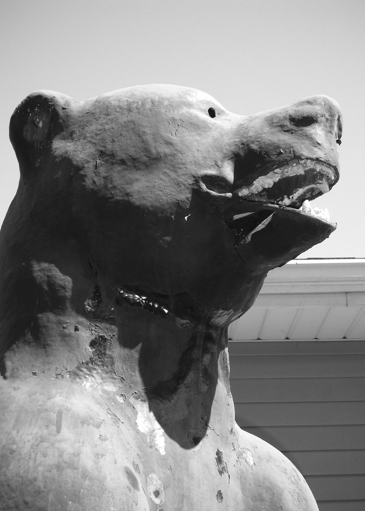 Bear! A bear statue in the Trail town of Duncannon, Pennsy… Flickr
