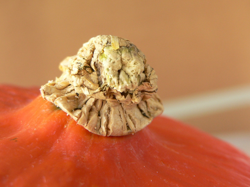 HokkaidoKürbis Hokkaido Squash Soufflé. Recipe in German… Flickr