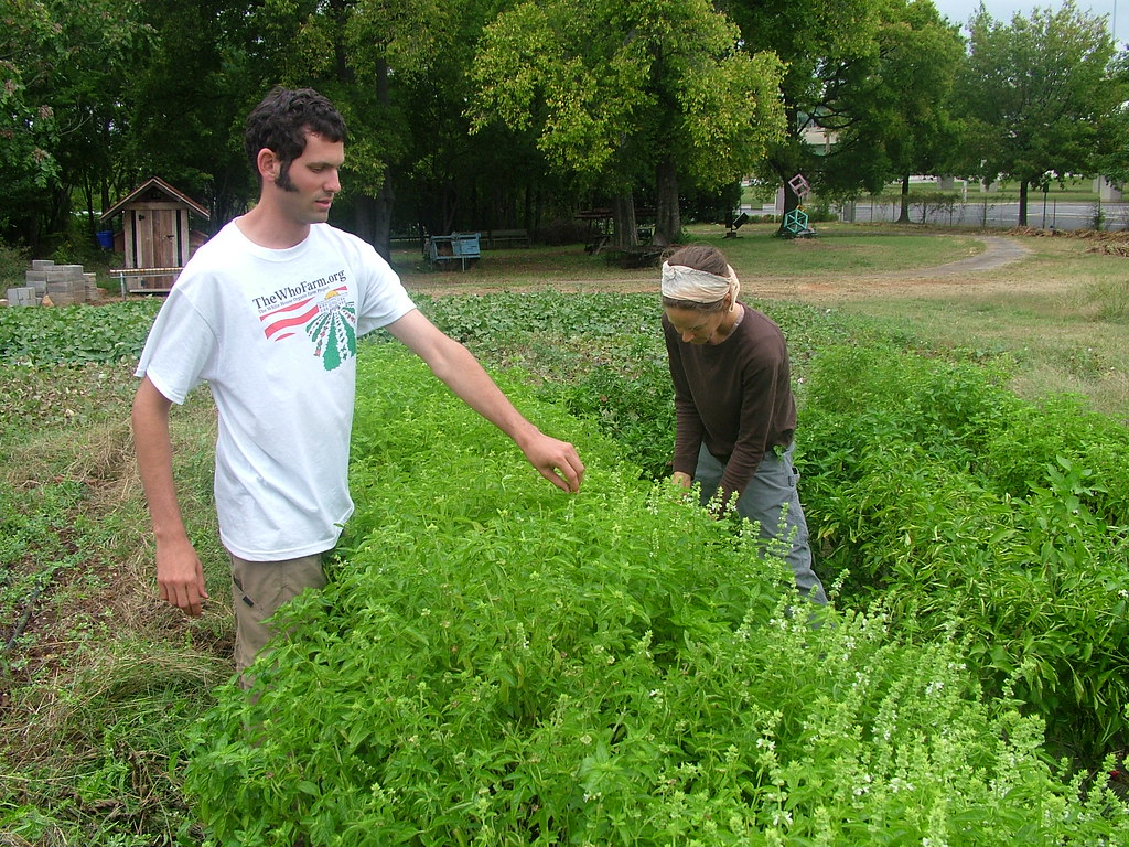 TheWhoFarm Jones Valley Urban Farm Birmingham AL TheWhoFarm Flickr