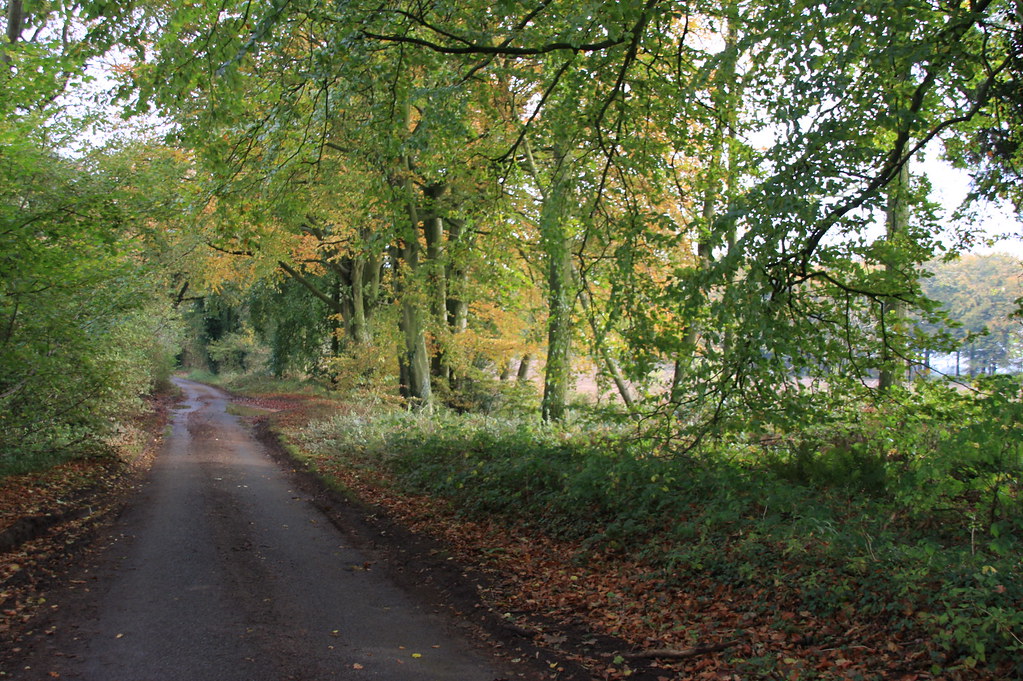 Sandy Lane Bowden Hill Nr. Lacock Nick Beck Flickr