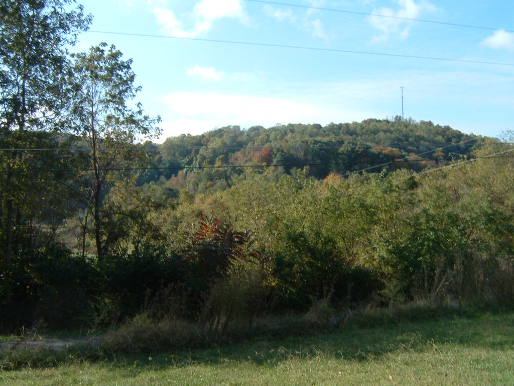 Barbara 00 (473) On top of Buck Mountain in Roan Mtn. Tn