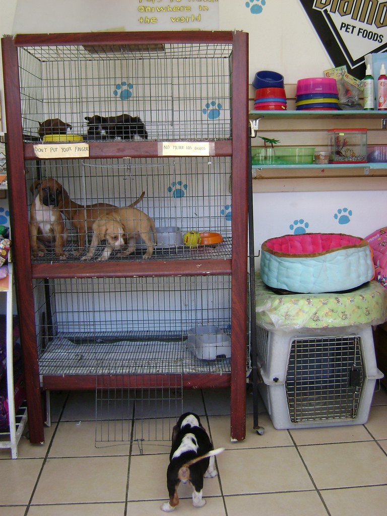 Tienda de mascotas/Pet shop, Puerto Vallarta, México www… Flickr