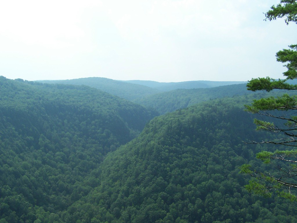 Madison, PA 2008 Flickr