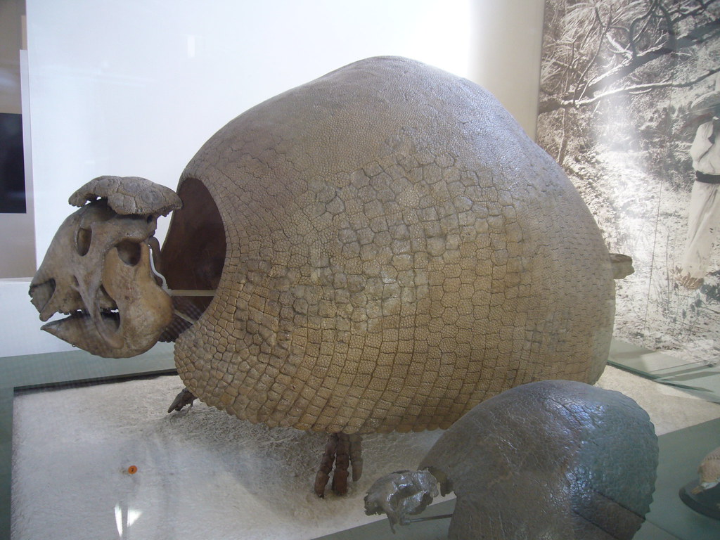 Giant Armadillo Ice Age