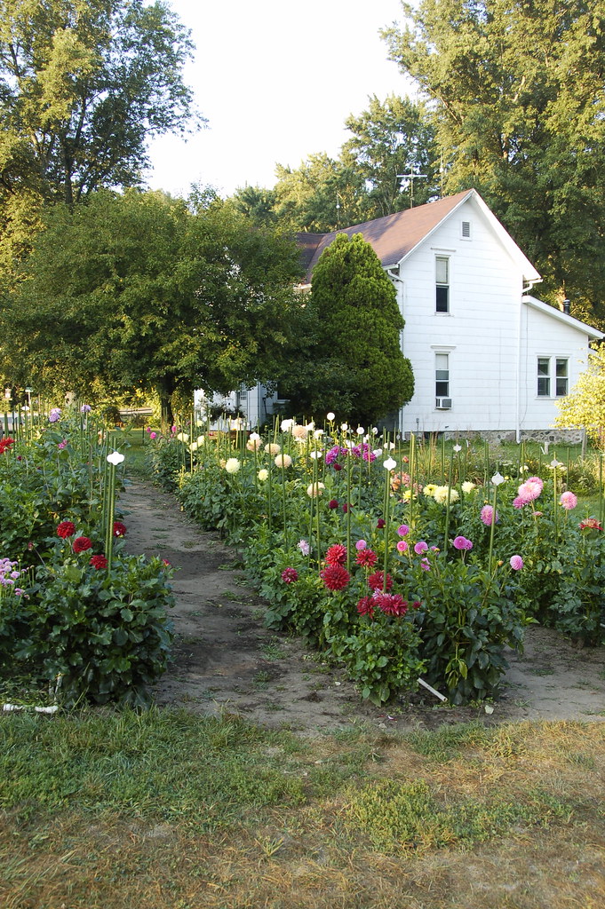 flowers at bonnyville mills markbajekphoto1 Flickr