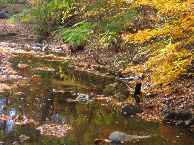 Parks of Montgomery County, Maryland Flickr