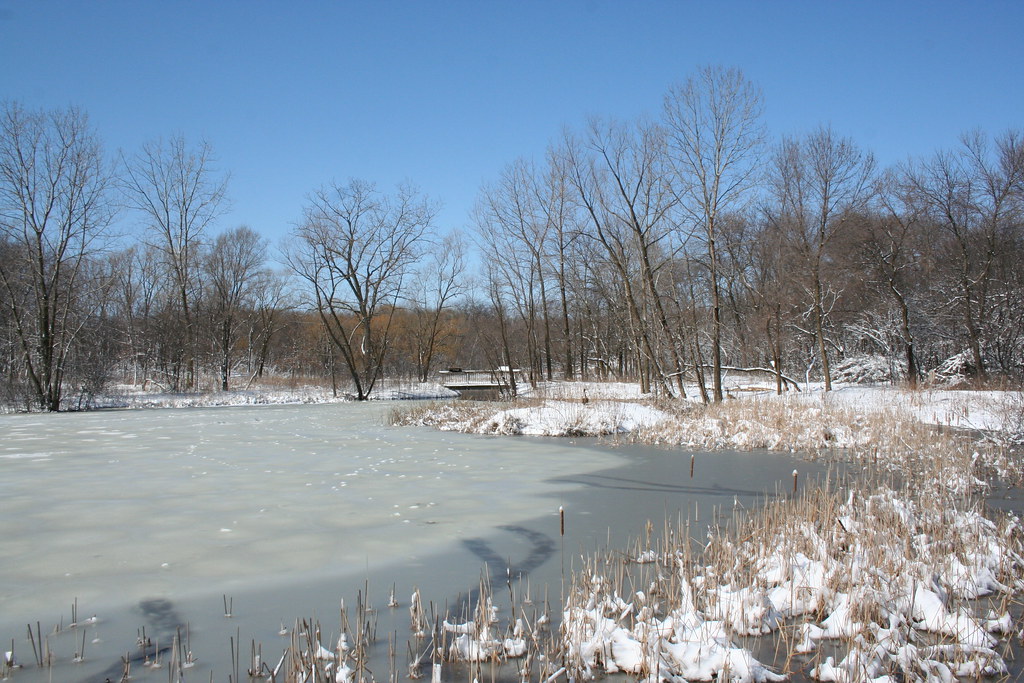 North Park Nature Center March 23, 2008 Daniel X. O'Neil Flickr