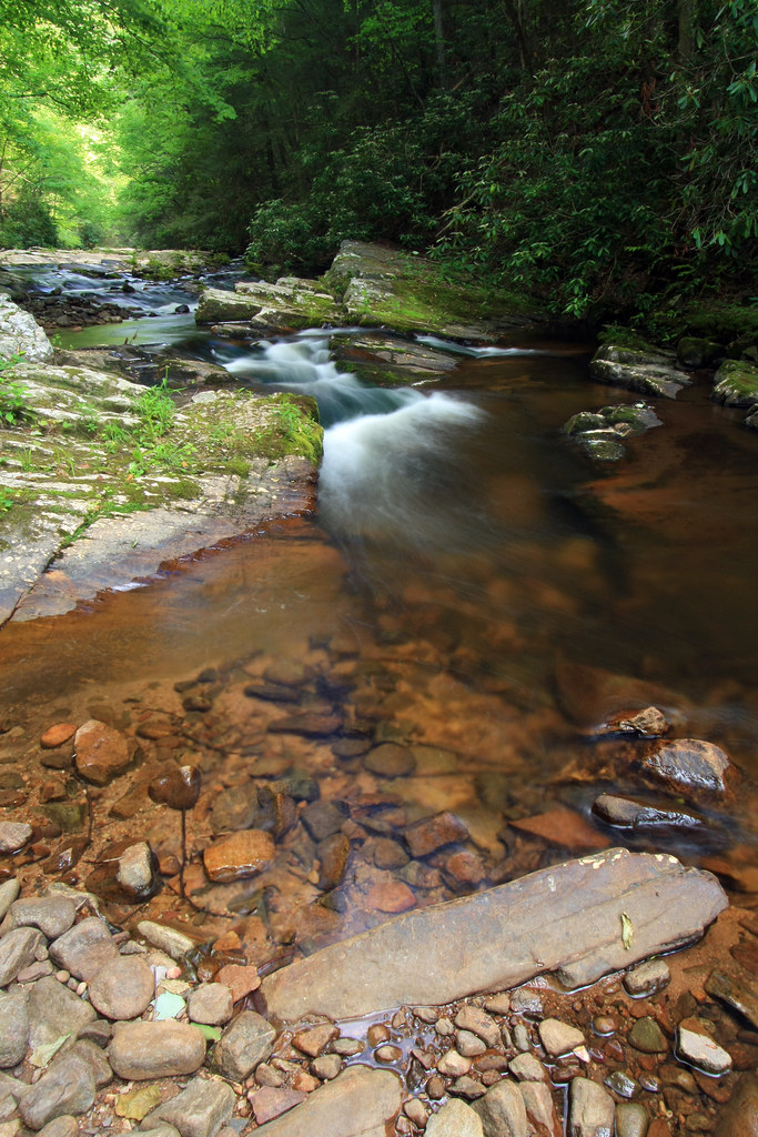 laurel fork, laurel fork pond mountain wilderness, … Flickr