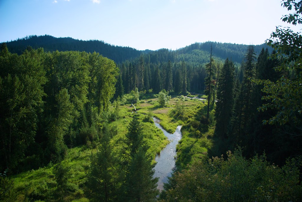 Little North Fork of the Coeur d'Alene River You would
