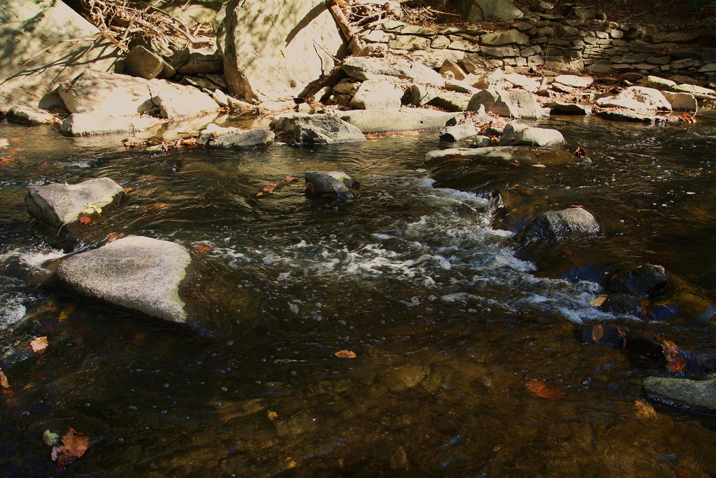 Rock Creek Rushing By Rock Creek itself, in Rock Creek Par… Flickr