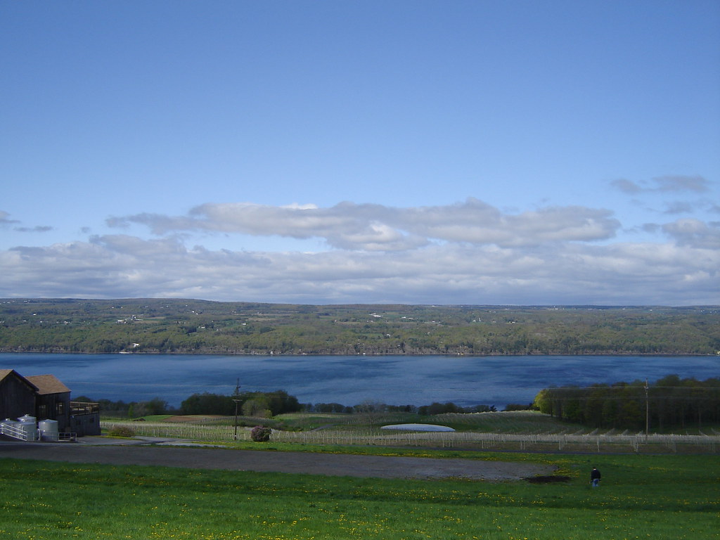 Seneca Lake View 4 Seneca Lake from eastern shore. Connie Stone Flickr