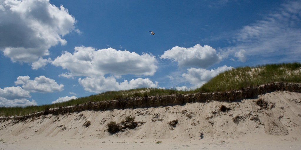 Such Great Heights Shot on the beach at Cape Henlopen Stat… Flickr
